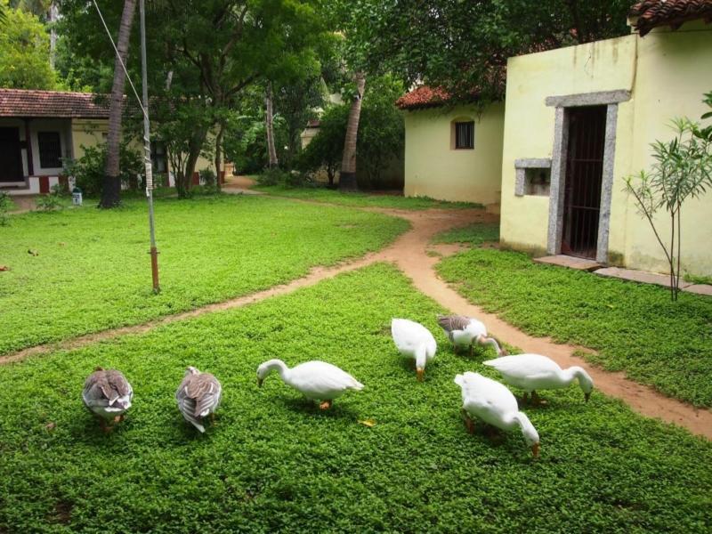 Indeco Hotels Swamimalai Kumbakonam Luaran gambar